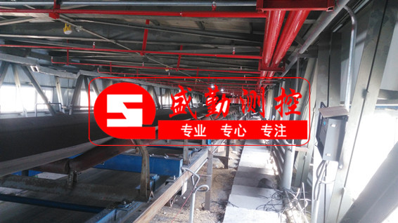 ICS—14型高精度電子皮帶秤,安裝在傾斜角